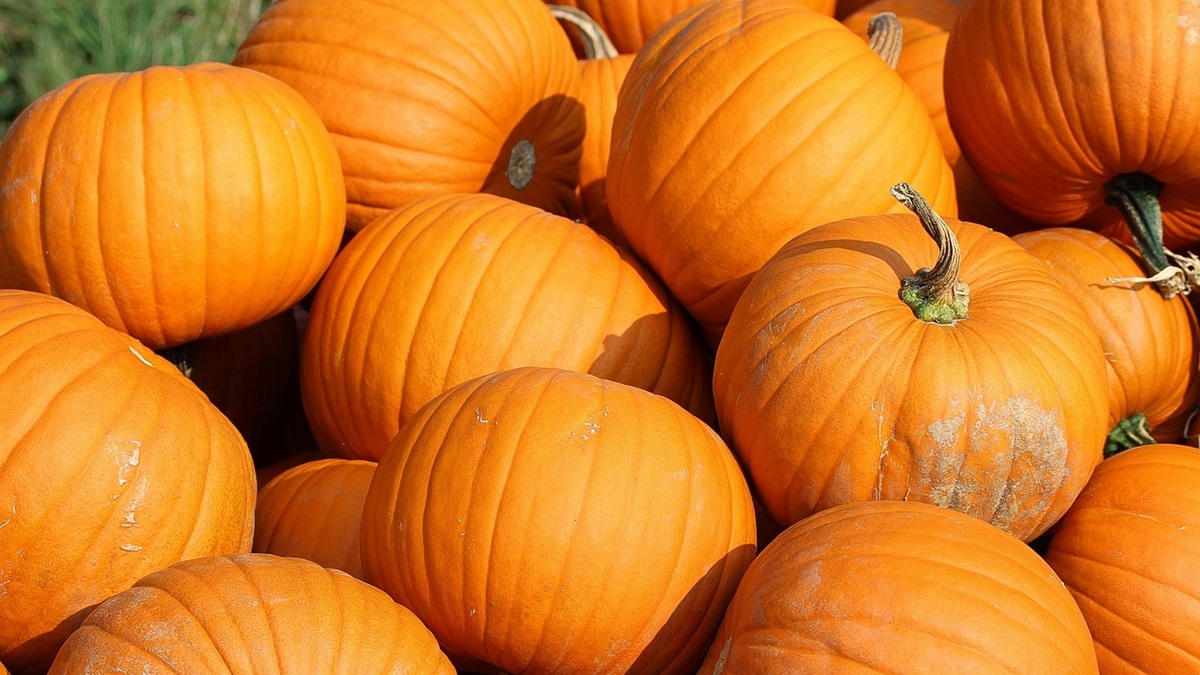 Cómo alargar la vida útil de las calabazass.jpg